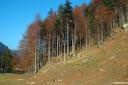 logarska dolina 05.thumbnail Logarska dolina