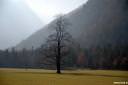 logarska dolina 09.thumbnail Logarska dolina