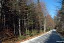 logarska dolina 13.thumbnail Logarska dolina