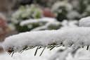 let it snow 05.thumbnail Let It Snow! Let It Snow! Let It Snow!