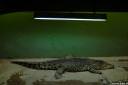 zoo-zagreb-09.jpg