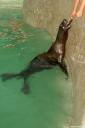 zoo-zagreb-13.jpg