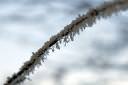 zimska idila 12.thumbnail Zimska idila   Let it snow
