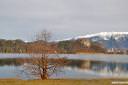 bled-kicaste-fotografije-06.jpg