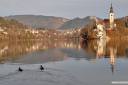 bled-kicaste-fotografije-08.jpg