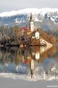 bled-kicaste-fotografije-09.jpg
