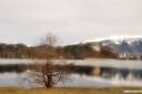 bled-kicaste-fotografije-soften-07.jpg