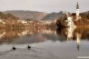 bled-kicaste-fotografije-soften-09.jpg