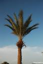 tunizija tunisia djerba 01.thumbnail Tunizija   Djerba