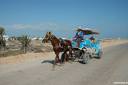 tunizija tunisia djerba 02.thumbnail Tunizija   Djerba