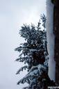 sneg-fotografije-03.jpg