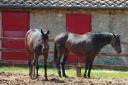toscana toskana tuscany italy photos 04.thumbnail Toskana