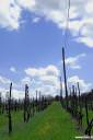 toscana toskana tuscany italy photos 06.thumbnail Toskana
