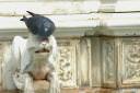 toscana toskana tuscany italy photos 32.thumbnail Toskana
