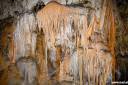 postojnska jama fotografije postojna cave photos 10.thumbnail Postojnska jama fotografije   Postojna Cave photos