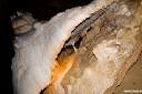 postojnska jama fotografije postojna cave photos 11.thumbnail Postojnska jama fotografije   Postojna Cave photos