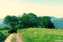 sprehod-cemseniska-planina-fotografije-03.jpg