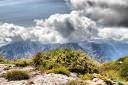 cesta-na-mangart-fotografije-mangart-photos-08.jpg