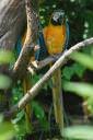parco-natura-viva-zivalski-vrt-fotografije-023.jpg
