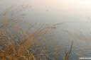 devin sesljan fotografije 10.thumbnail Rilkejeva pešpot   Sentiero Rilke   Devin   Sesljan