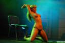 eroticni-sejem-celje-2008-fotografije-01.jpg