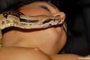 eroticni-sejem-celje-2008-fotografije-25.jpg