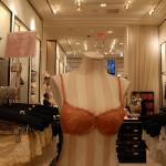 had 0056 150x150 Victorias Secret