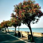 lago di garda sirmione 13 150x150 Na obali Gardskega jezera   Sirmione