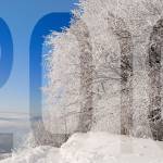 srecno 2010