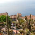 le_jardin_exotique_eze_s