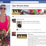 iris_mulej_tiger iris_mulej_tiger