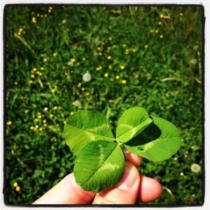 deteljica 300x300 fotografije deteljica 300x300 photos deteljica 300x300 Ne izgubite časa v iskanju sreče! Spremenite svoj svet!