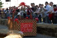 dsc_0035_small.jpg
