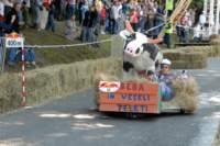 dsc_0108_small.jpg