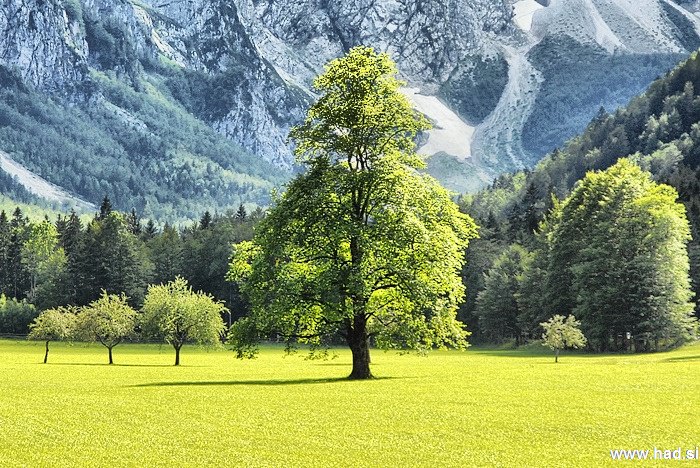 Logarska dolina fotografije 01