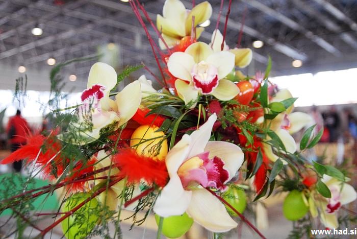 Sejem Poroka Flora Celje 03