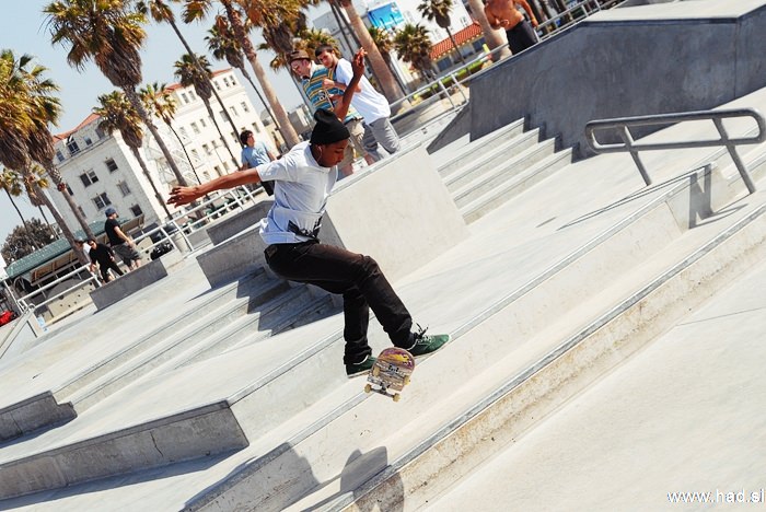 Venice Beach Skate Plaza  10