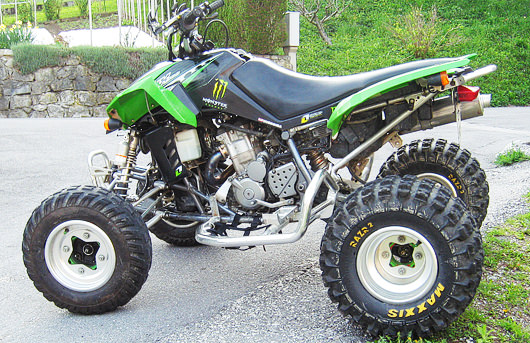 arctic cat