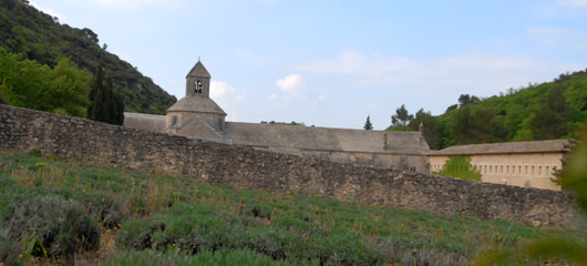 provansa abbaze notre dame de senanque