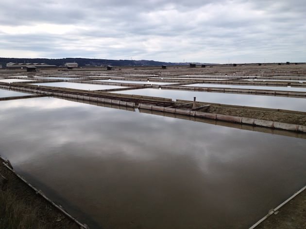 krajinski_park_secoveljske_soline004