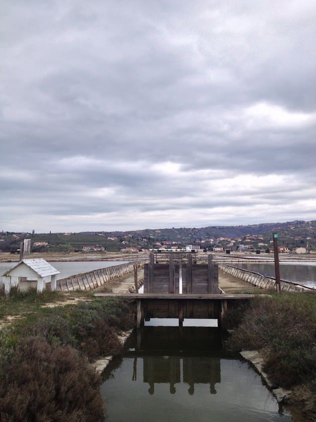 krajinski_park_secoveljske_soline010