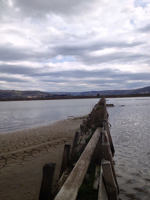 krajinski_park_secoveljske_soline012