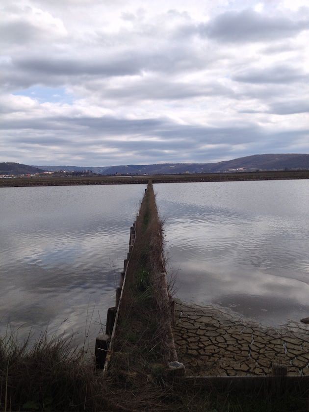 krajinski_park_secoveljske_soline014