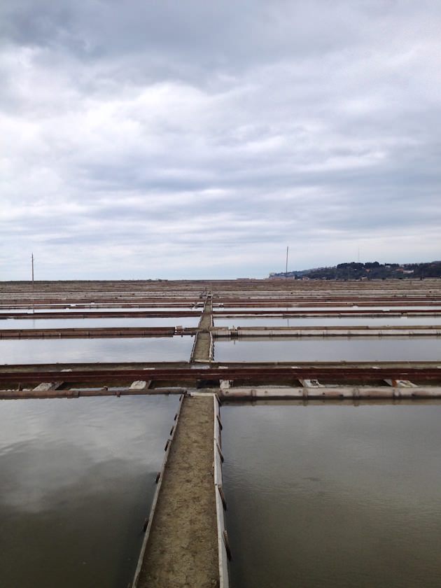 krajinski_park_secoveljske_soline015