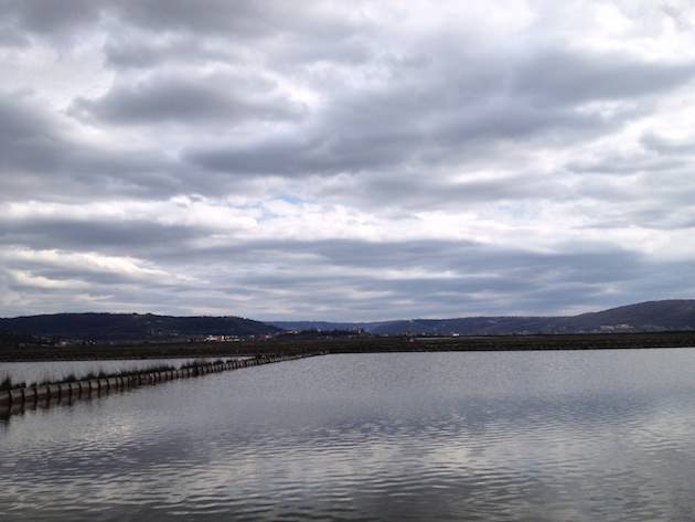 krajinski_park_secoveljske_soline016