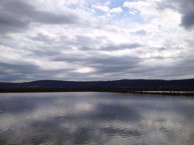 krajinski_park_secoveljske_soline017