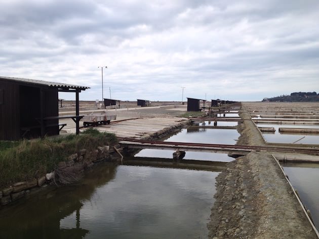 krajinski_park_secoveljske_soline019