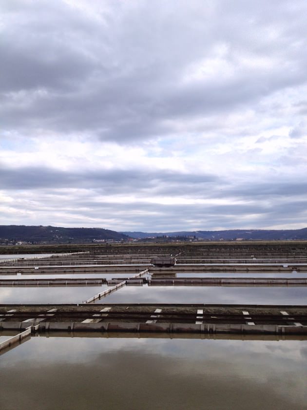 krajinski_park_secoveljske_soline022