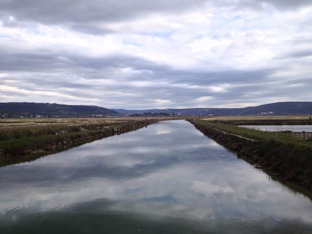 krajinski_park_secoveljske_soline024