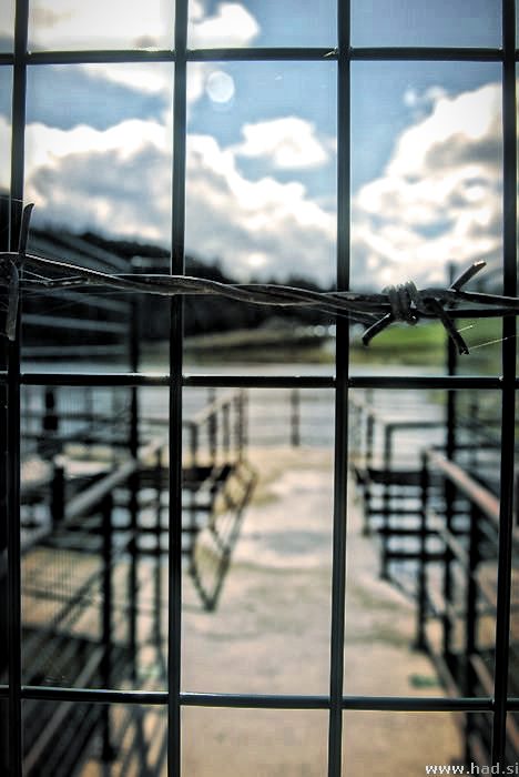 jezera_bohinjsko_blejsko_gradisko_zbiljsko_003